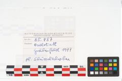 Foto von Keramikgefäß (NHMW-PRAE-085787)